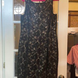 Tahari Illusion LACE Dress 16